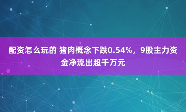 配资怎么玩的 猪肉概念下跌0.54%，9股主力资金净流出超千万元